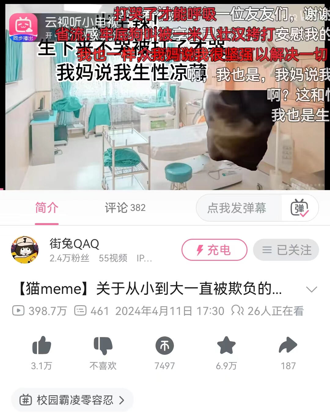 寻找大猫，最新最火资讯一网打尽