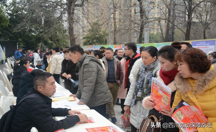 金堂最新招聘信息，职场机遇与友情的温暖交汇