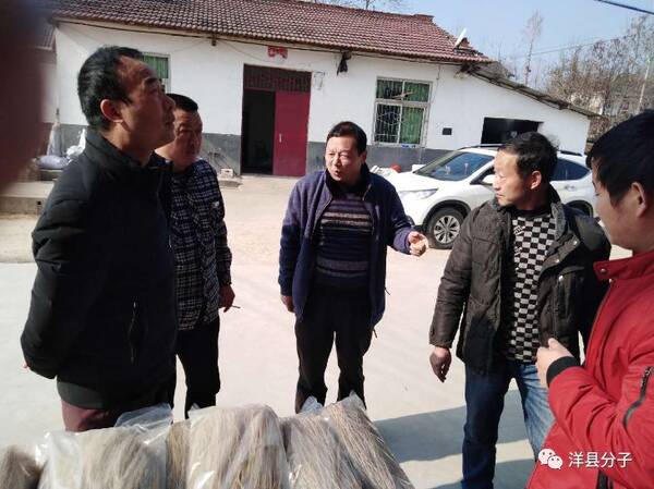 洋县槐树关最新新闻