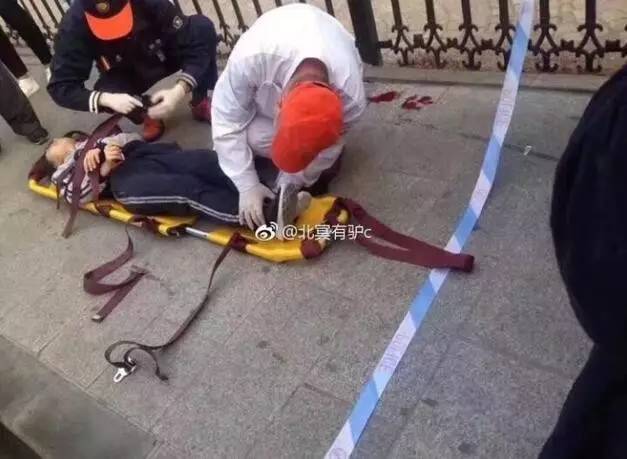 大连陆虎撞学生事件背后的宁静美景探索