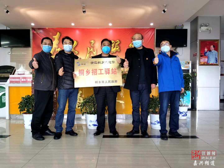 桐乡最新招聘信息揭秘，小巷深处的职业机遇