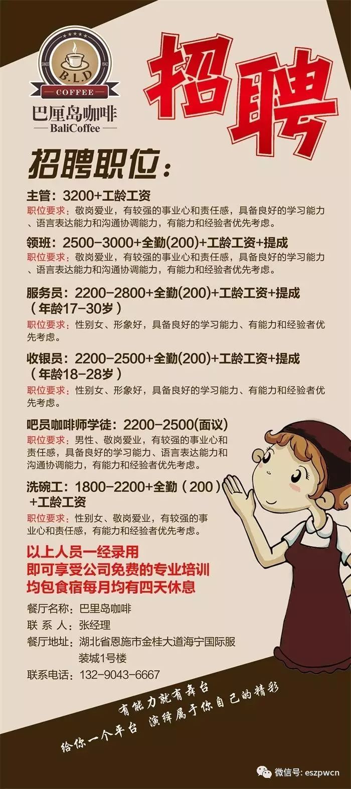 沙井司机最新招聘，时代背景下的职业新篇章