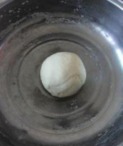 霉干菜烧饼的最新小说