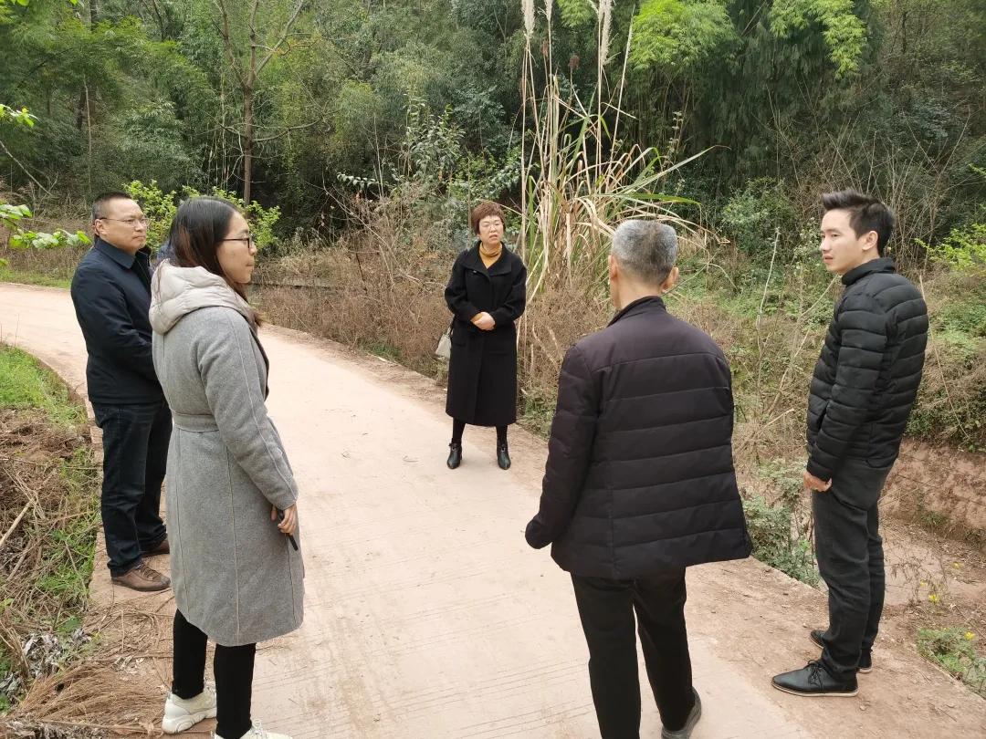 天府新区仁寿最新动态，日常趣事与情感的交织