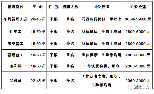 松滋新江口最新招工探索，小巷中的职业机遇