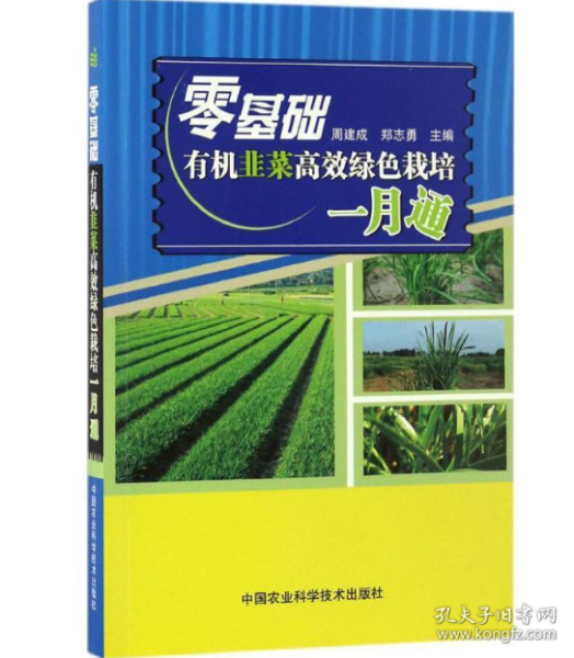 最新韭黄种植技术视频教程，从入门到精通指南