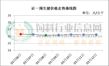 广东今日最新猪价涨跌动态与温馨故事回顾