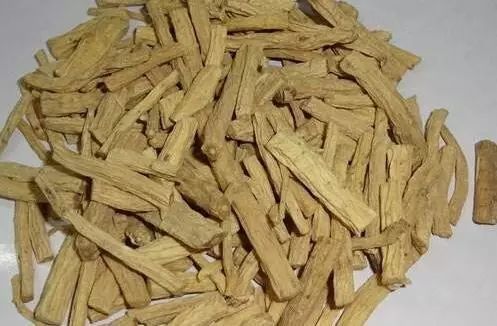 黄水黄连最新价格及分析今日行情揭秘